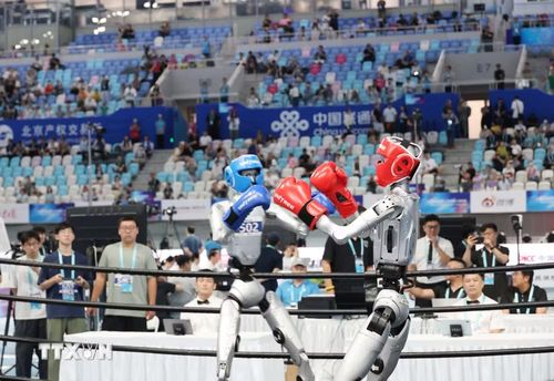 Các Robot thi đấu ở nội dung đấm bốc. (Ảnh: Công Tuyên/TTXVN)