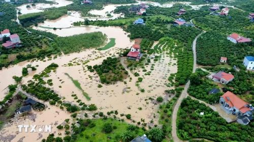 Nước lũ dâng cao, bao phủ nhiều diện tích cây trồng. (Ảnh: TTXVN phát)