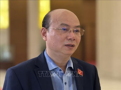 Đại biểu Hoàng Văn Nghĩa (Quảng Ngãi) trả lời phỏng vấn.