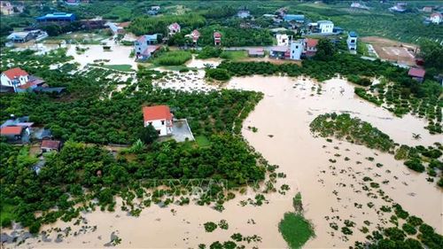Nước lũ dâng cao, nhiều diện tích cây trồng bị ngập trắng. Ảnh: TTXVN phát
