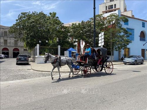 Xe ngựa đưa du khách tham quan thủ đô La Habana (Cuba), ngày 20/8/2026.
