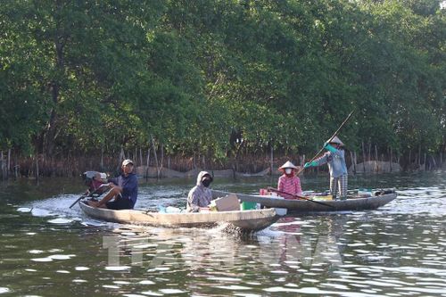 Người dân Ngư Mỹ Thạnh nhiều đời sinh sống chủ yếu bằng nghề đánh bắt cá, tôm trên Phá Tam Giang. Ảnh: Mai Trang - TTXVN
