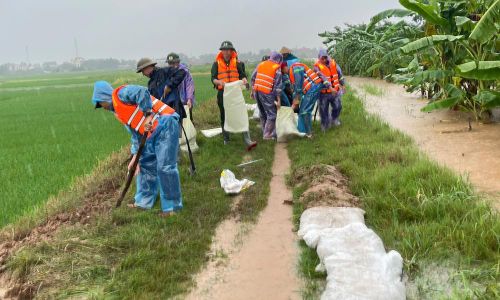Hơn 100 cán bộ, chiến sĩ công an, bộ đội cùng Nhân dân đắp đê bối, gia cố các vị trí xung yếu, phòng, chống tràn khu vực đê sông Lục Nam, đoạn qua thôn Ba Đọ, xã Lục Nam.