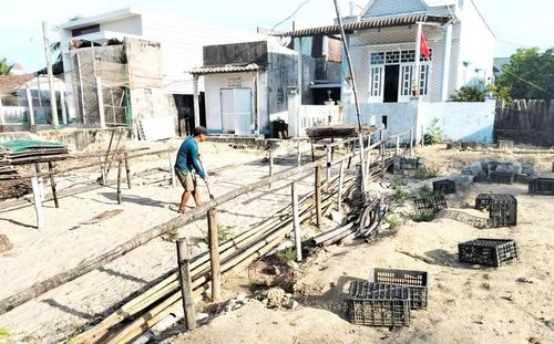  Nhiều cơ sở sơ chế mực xà tại thôn An Quang Đông đã tự nguyện tháo dỡ giàn phơi mực (ảnh chụp ngày 1.6.2026). Ảnh: V.L 
