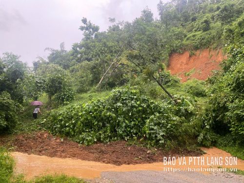 Điểm sạt lở gây tắc nghẽn toàn bộ đoạn đường trên tuyến đường ĐH 29 Song Giáp - Khánh Khê