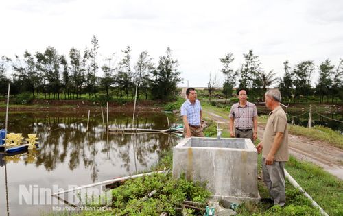 Cán bộ Chi cục Thủy sản - Kiểm ngư kiểm tra nguồn nước đầu vào của mô hình nuôi ốc hương trong bể có mái che.