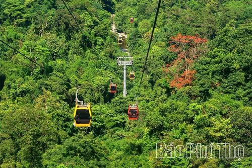 Trải nghiệm đi cáp treo giúp du khách ngắm nhìn toàn cảnh từ trên cao, cảm nhận cảnh sắc hùng vĩ và không gian thanh tịnh của Khu danh thắng Tây Thiên.