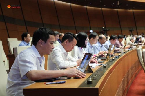Các đại biểu dự phiên thảo luận tại hội trường về định hướng sửa đổi Luật Đất đai. Ảnh: Khánh Duy
