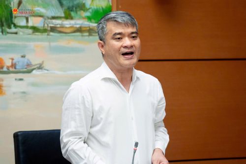 Thứ trưởng Bộ Tư pháp Nguyễn Thanh Tú phát biểu tại phiên họp