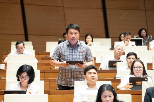 Đại biểu Đặng Ngọc Huy (Đoàn ĐBQH tỉnh Quảng Ngãi) phát biểu tại phiên họp.