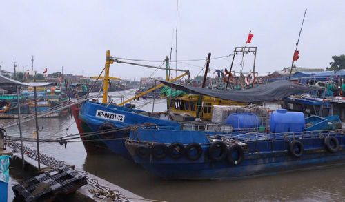 Tàu cá của ngư dân neo đậu an toàn tại cảng cá Ngọc Hải (Hải Phòng)