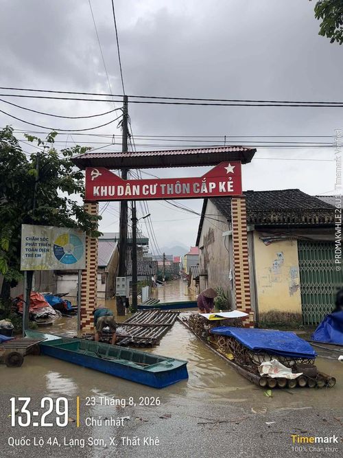 Người dân chủ động sử dụng thuyền bè, di chuyển đồ dùng, vật nuôi của gia đình đến nơi an toàn.