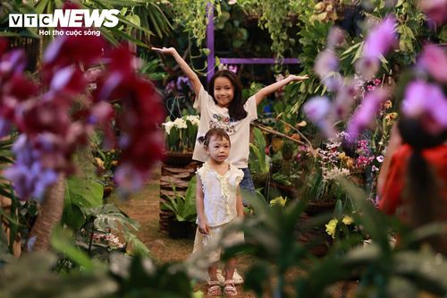 Trẻ em được gia đình đưa đến ngắm hoa, trải nghiệm, khám phá những nét văn hoá độc đáo tại lễ hội trong dịp những ngày cuối của kỳ nghỉ hè.