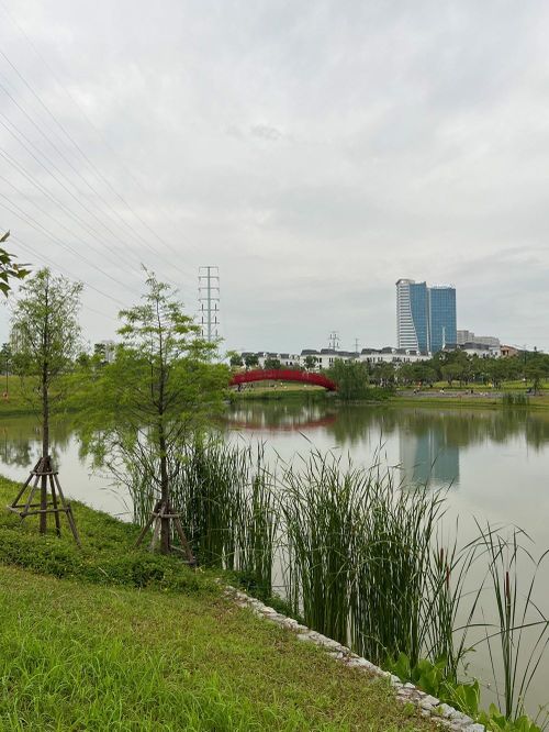 Theo các nhà chuyên môn, cần đổi mới cách quy hoạch, quản lý và khai thác để công viên trở thành một phần thiết yếu của đô thị. Ảnh: Tuấn Đông