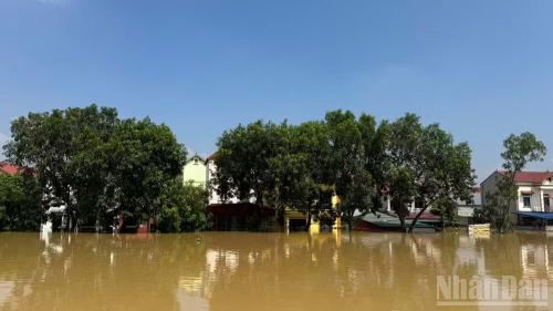 Khu vực bên ngoài đê thôn Lương Phúc, xã Đa Phúc gần như bị cô lập khi nước sông Cầu dâng sau mưa lớn hôm 10/10/2025. (Ảnh: Văn Thịnh)
