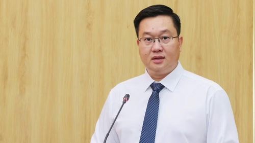Đồng chí Trần Đăng Quỳnh, Ủy viên Dự khuyết Trung ương Đảng, Phó Bí thư Thường trực Tỉnh ủy Ninh Bình phát biểu tại hội nghị. (Ảnh: Đức Lam)