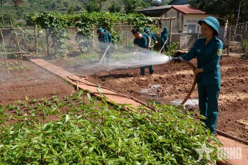 Tăng gia sản xuất sau giờ thực hiện nhiệm vụ.
