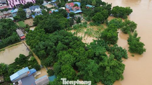 Theo ông Trần Chí Dũng, đến nay trên địa bàn phường chưa có trường hợp nào phải đi sơ tán, hầu hết bà con đều tự di chuyển đồ đạc tới khu vực cao hơn. Chính quyền địa phương đã rà soát, tổ chức phân luồng giao thông, lắp đặt rào chắn, cắm biển cảnh báo tại các tuyến đường bị ngập và khu vực ngập úng để hướng dẫn, kiểm soát người và phương tiện qua lại.