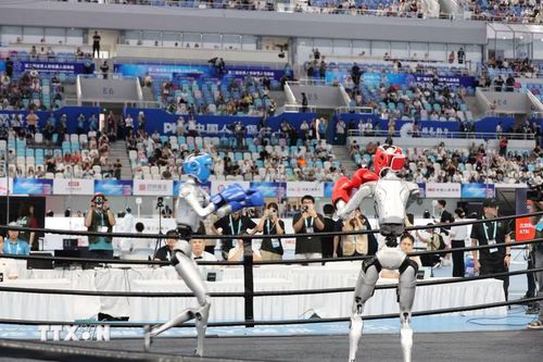 Các robot thi đấu ở nội dung đấm bốc. (Ảnh: Công Tuyên/TTXVN)