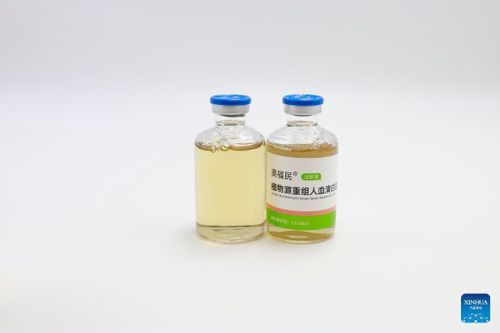 Các lọ sản phẩm albumin huyết thanh người tái tổ hợp có nguồn gốc từ gạo của Công ty Healthgen Biotechnology. Ảnh: Tân Hoa xã