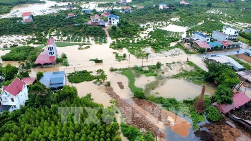 Nước lũ dâng cao, bao phủ nhiều diện tích cây trồng. Ảnh: TTXVN phát