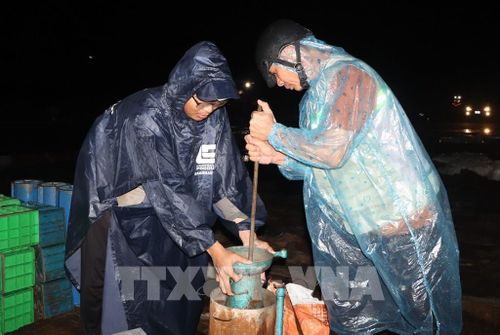 Các công nhân, kỹ sư thi công trong đêm trên công trường dự án mở rộng, nâng cấp Cảng hàng không Cà Mau. Ảnh: Tuấn Phi - TTXVN