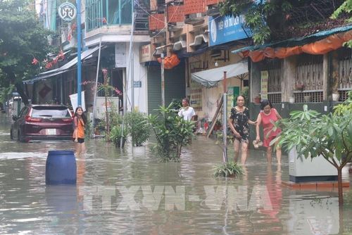 Phố Bùi Thị Cúc, phường Lê Thanh Nghị, thành phố Hải Phòng ngập nặng, các phương tiện không lưu thông được. Ảnh: Mạnh Minh – TTXVN