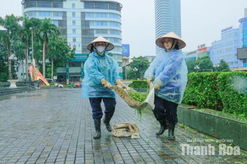 Nhiều thời điểm mưa to, nhưng công nhân vẫn miệt mài làm việc.