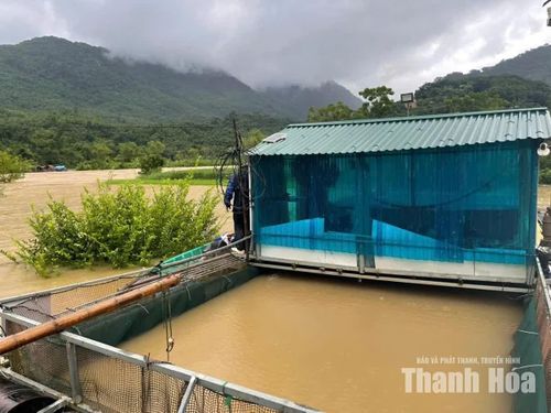 Nước sông Lò dâng cao.
