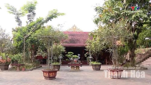 Chùa Mèo nằm giữa không gian núi rừng thanh bình của xã Linh Sơn.