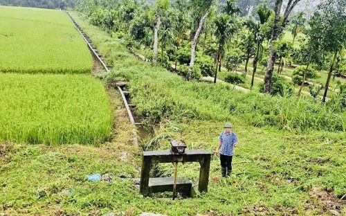 Lãnh đạo xã Tây Đô kiểm tra thực địa cống tưới qua đê trên địa bàn.