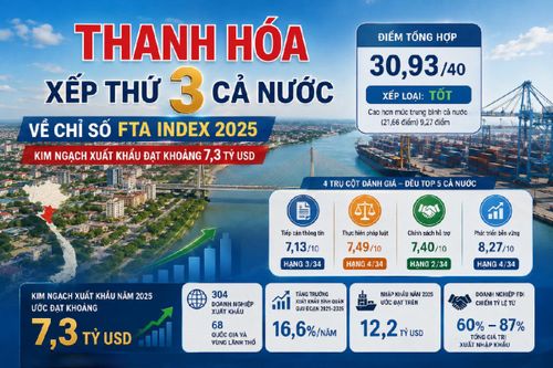 Thanh Hóa xếp thứ 3 cả nước chỉ số FTA index (đồ họa TXT)