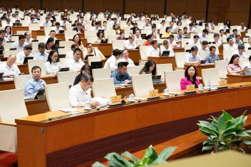 Các đại biểu tham dự phiên họp. Ảnh: Cổng thông tin điện tử Quốc hội.