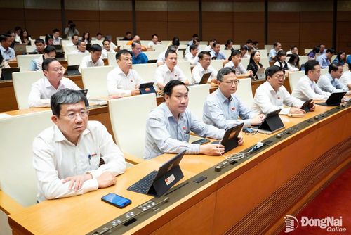 Các đại biểu Đoàn Đại biểu Quốc hội thành phố Đồng Nai tham dự phiên họp. Ảnh: CTV