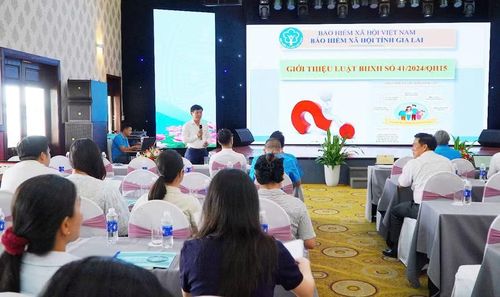  Bảo hiểm xã hội tỉnh phối hợp với Ban Quản lý Khu kinh tế tỉnh, Liên đoàn Lao động tỉnh tổ chức Hội nghị tuyên truyền, phổ biến pháp luật và đối thoại tháo gỡ khó khăn cho doanh nghiệp. Ảnh: N.M 