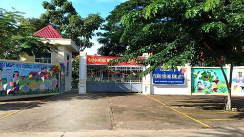 Trường TH Sông Lũy 3 được phủ xanh