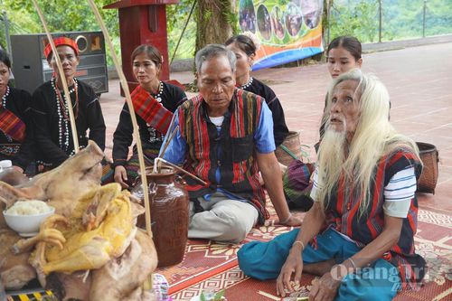 Nghi thức cúng truyền thống được các già làng tổ chức - Ảnh: Đ.T