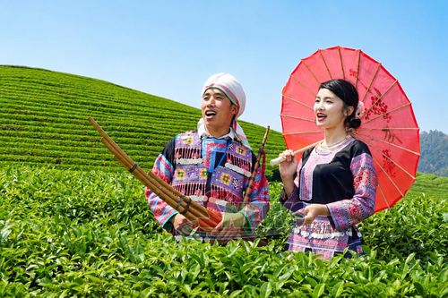 Biểu diễn hát đối giao duyên của đồng bào dân tộc Mông phường Thảo Nguyên