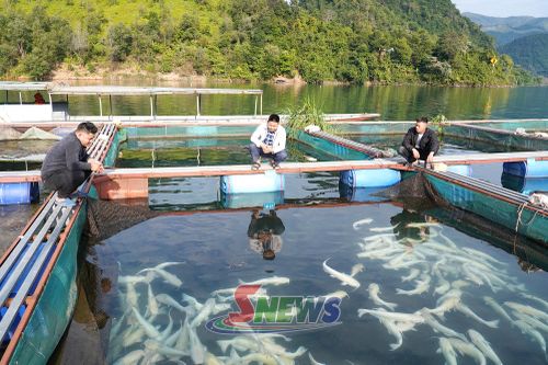 Các thành viên HTX nuôi trồng thủy sản Hồ Quỳnh, xã Quỳnh Nhai trao đổi kỹ thuật nuôi cá lồng.