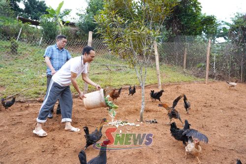 Nông dân xã Long Hẹ chăn nuôi gà đen theo quy trình sản xuất nông sản an toàn.