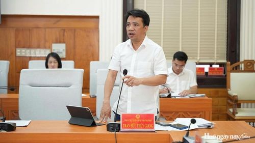 TUV, Phó Chủ tịch UBND thành phố Trần Hữu Thùy Giang phát biểu tại cuộc họp. Ảnh: Ngọc Hiếu