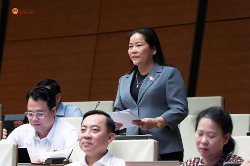 ĐBQH Lê Thị Thanh Lam (TP. Cần Thơ) phát biểu tại phiên thảo luận về định hướng chính sách sửa đổi Luật Đất đai sáng 21/8. Ảnh: Phạm Thắng