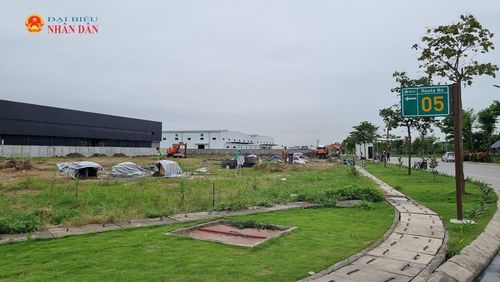 Đưa đất đai vào sử dụng hiệu quả, tạo thêm giá trị cho nền kinh tế. Ảnh: Đan Thanh