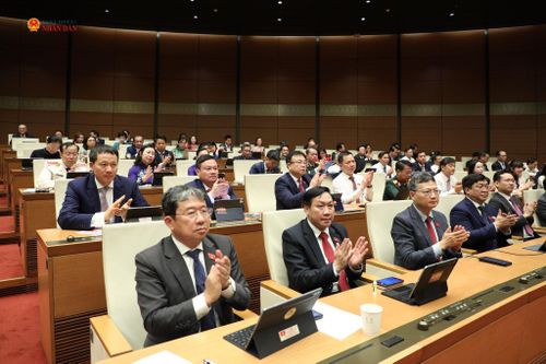 Các đại biểu tham dự phiên họp. Ảnh: Khánh Duy