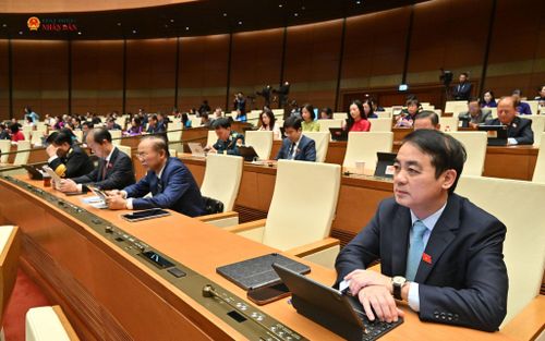 Các đại biểu tham dự phiên họp. Ảnh: Khánh Duy