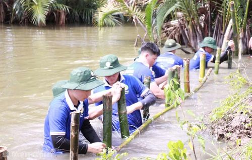 Học viên Trường Đại học ANND gia cố, xây dựng cọc chắn sóng tại các tuyến kênh có nguy cơ sạt lở.