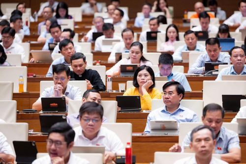 Các đại biểu dự phiên họp.