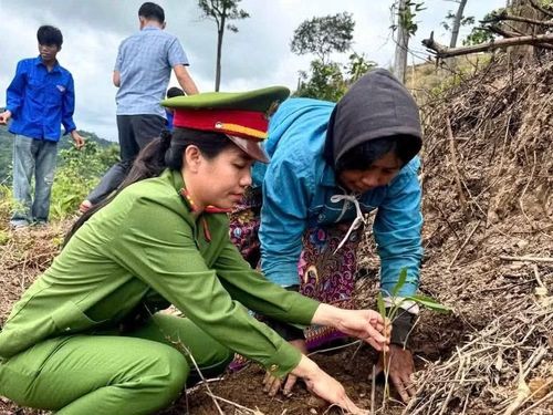 Công an Quảng Trị hỗ trợ bà con dân tộc thiểu số trồng rừng, phát triển kinh tế hộ gia đình.