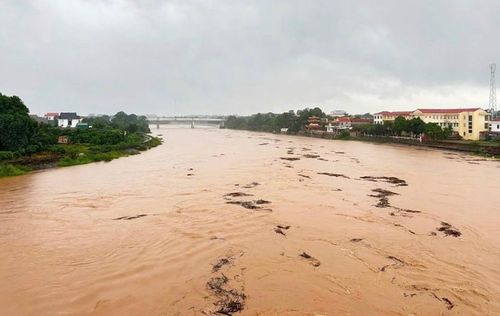 Lũ trên sông Lục Nam. Ảnh: CTV.