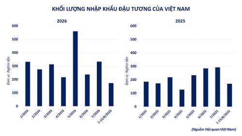 Khối lượng nhập khẩu đậu tương của Việt Nam. Nguồn: MXV